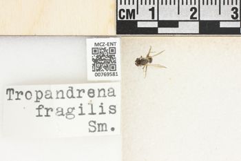 Media type: image;   Entomology 769581 Aspect: Labels